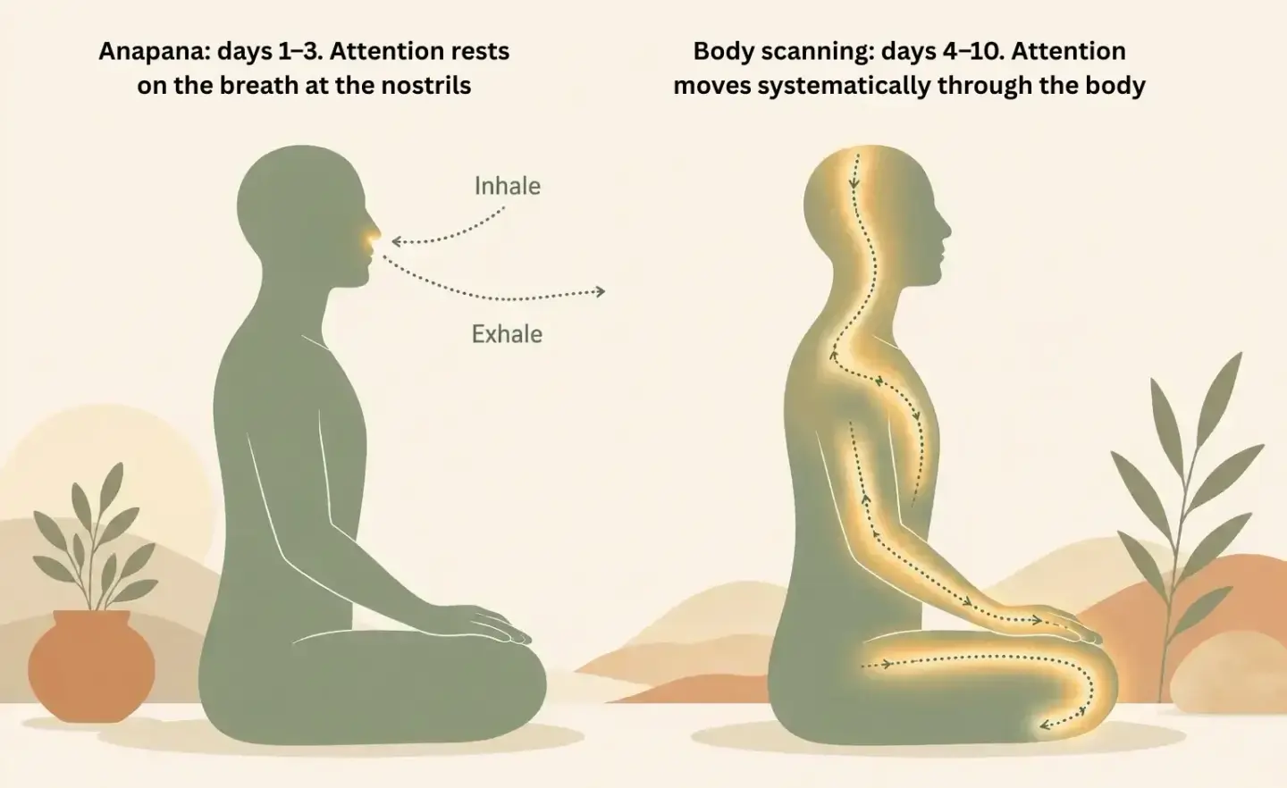 Anapana meditation and body scanning technique in Goenka Vipassana