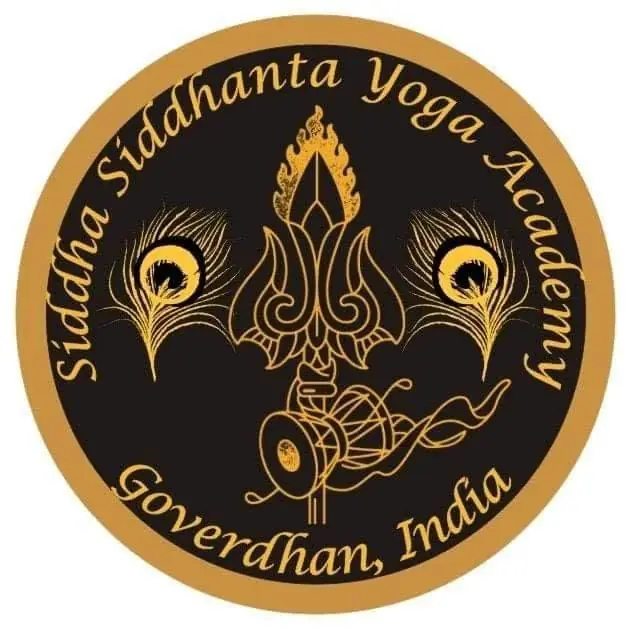 Shailendra Sharma's Siddha-Siddhanta Yoga Academy